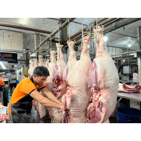 Biến động thị trường thịt heo hơi cuối năm