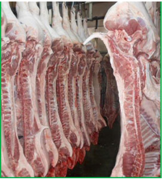 Thịt heo đồng nai uy tín chất lượng cao